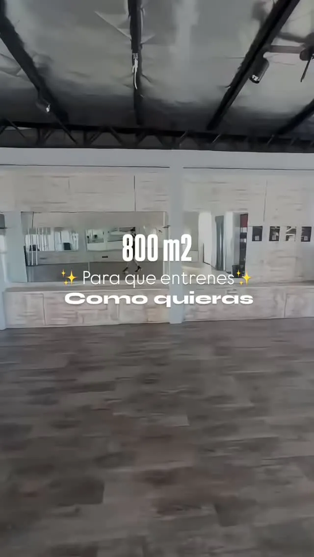 Gimnasio